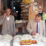حملات مكثفة في دمياط...